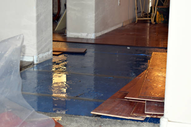 Professional Basement Flood Cleanup technician working in McFarland, WI